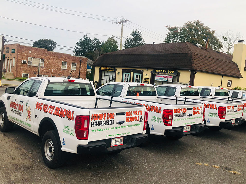 Scoopy Doo Dog Waste Removal, Dog Waste Pickup, Pet Waste Removal for Nassau on Long Island, Albany, Schenectady, Suffolk, Westchester, New York.