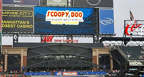 Scoopy-Doo-NY-is-the-official-Pooper-Scooper-of-the-NY-Mets-Citi-Field-Bark-In-the-Park