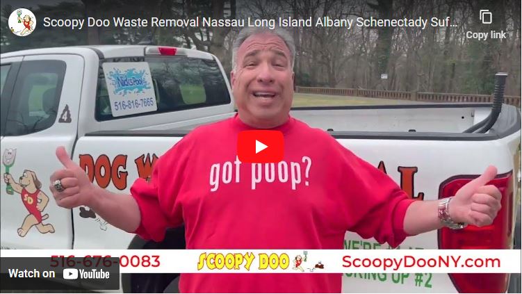 Scoopy-Doo-Dog-Waste-Removal-Dog-Waste-Pickup-Pet-Waste-Removal-for-Nassau-on-Long-Island-Albany-Schenectady-Suffolk-Westchester-New-York