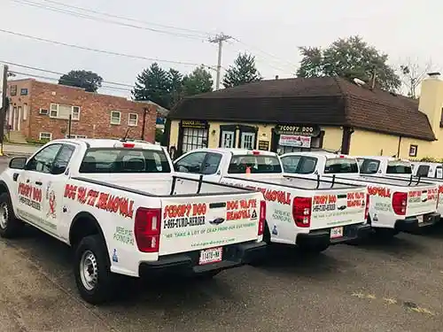 Scoopy-Doo-Dog-Waste-Removal-Dog-Waste-Pickup-Pet-Waste-Removal-for-Nassau-on-Long-Island-Albany-Schenectady-Suffolk-Westchester-New-York